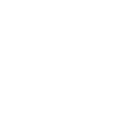 AI Readiness